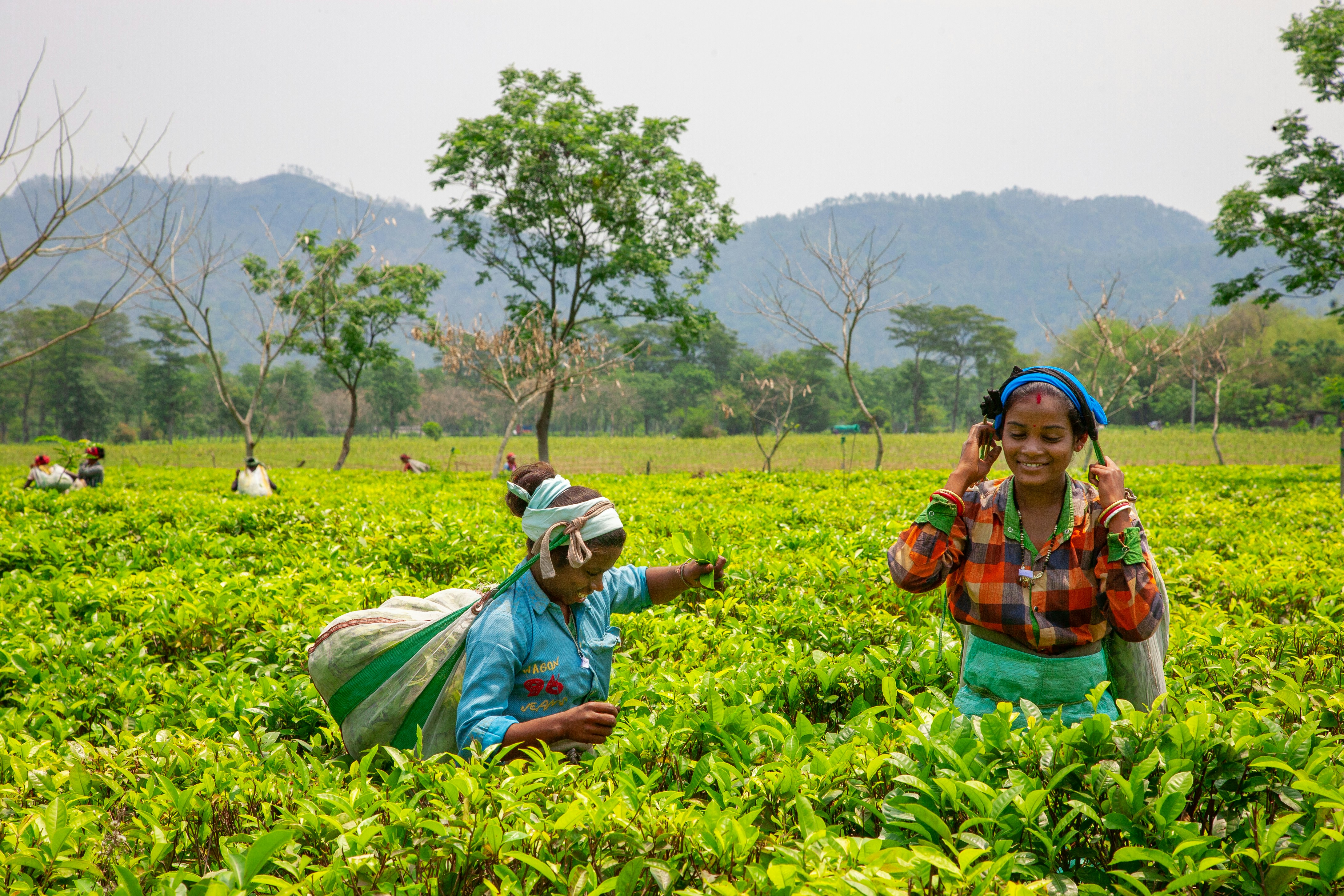 Explore Sylhet
